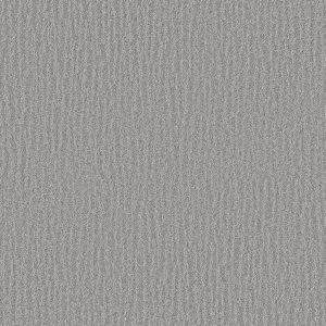 Shaw Floors Retail NATURE WITHIN - 00501 STORMY BREEZE