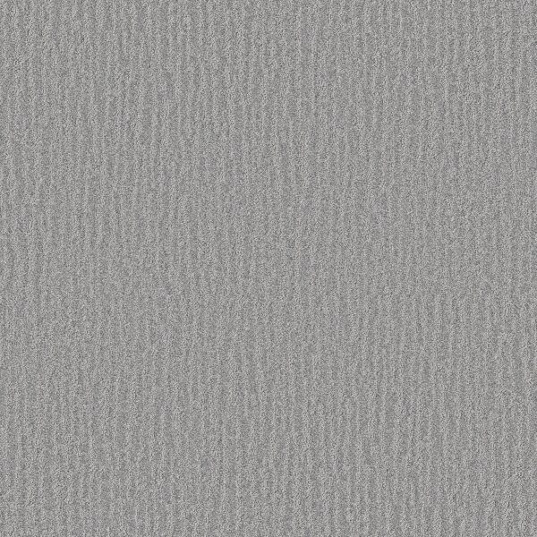 Shaw Floors Retail NATURE WITHIN - 00501 STORMY BREEZE