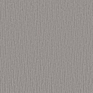 Shaw Floors Retail NATURE WITHIN - 00504 GREY FOX