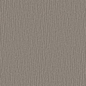 Shaw Floors Retail NATURE WITHIN - 00700 RIVER RUN