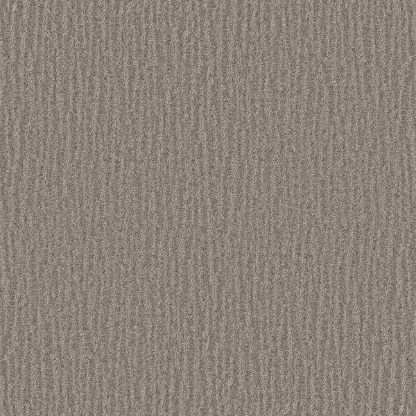 Shaw Floors Retail NATURE WITHIN - 00700 RIVER RUN
