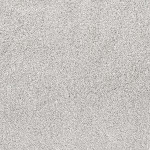 Shaw Floors Retail QUIET SANCTUARY - 00100 SNOW CAP