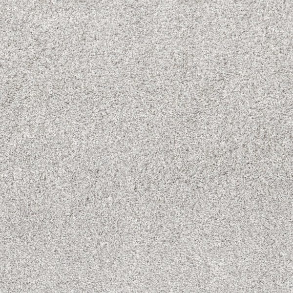 Shaw Floors Retail QUIET SANCTUARY - 00100 SNOW CAP
