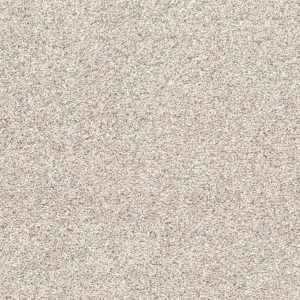 Shaw Floors Retail QUIET SANCTUARY - 00103 WASHED LINEN