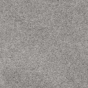 Shaw Floors Retail QUIET SANCTUARY - 00502 NEWSTONE HAVEN