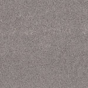 Shaw Floors Retail QUIET SANCTUARY - 00700 RIVER RUN