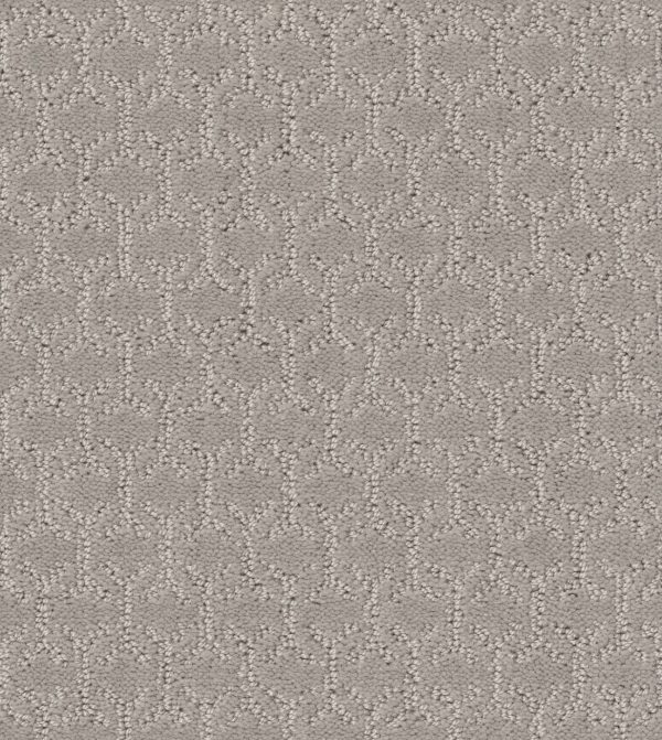 Shaw Floors Value VALID - 00104 STONE