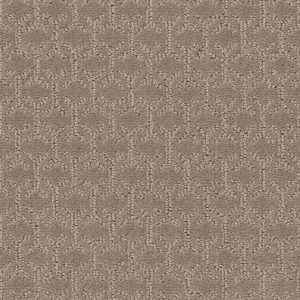 Shaw Floors Value VALID - 00109 SHADOW