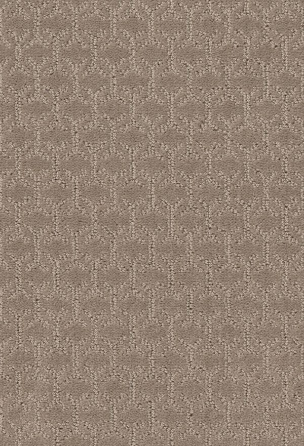 Shaw Floors Value VALID - 00109 SHADOW