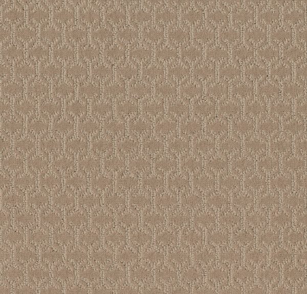 Shaw Floors Value VALID - 00110 TOAST