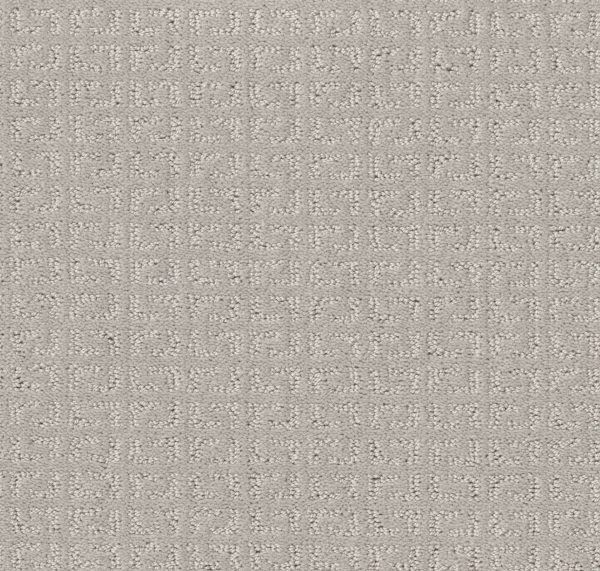 Shaw Floors Value VASTLY - 00101 MIST