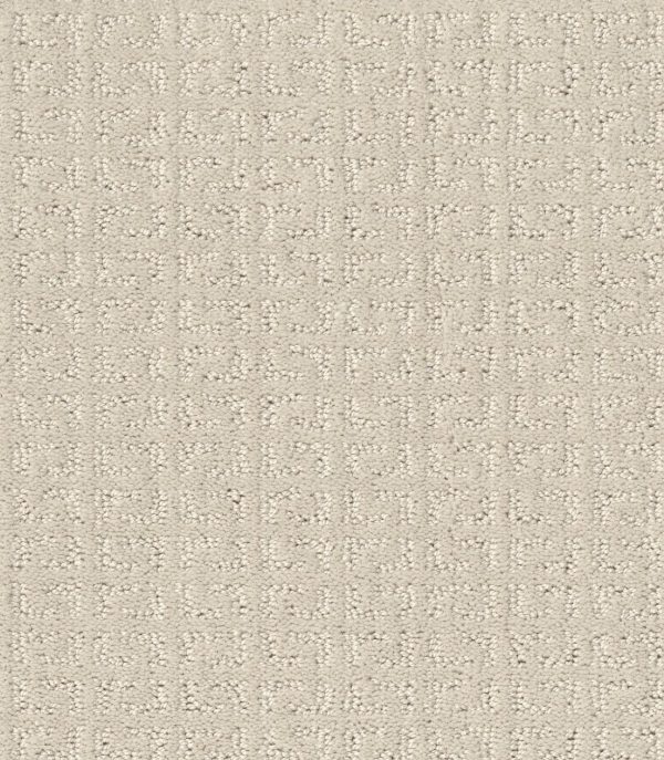 Shaw Floors Value VASTLY - 00103 PEARL