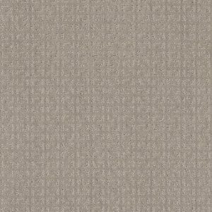 Shaw Floors Value VASTLY - 00108 TWINE