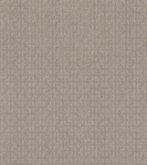 Shaw Floors Value VASTLY - 00108 TWINE