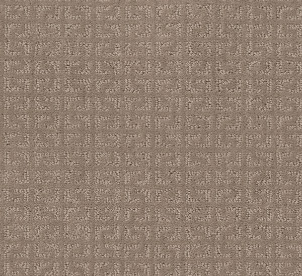 Shaw Floors Value VASTLY - 00109 SHADOW