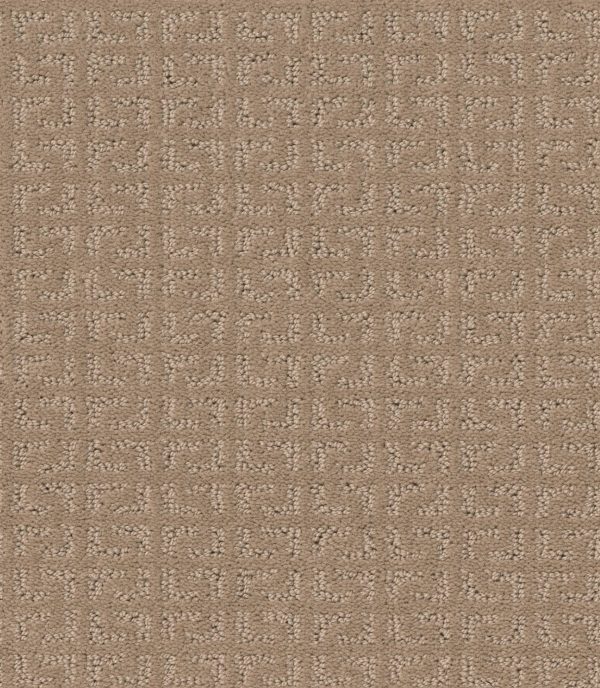 Shaw Floors Value VASTLY - 00110 TOAST