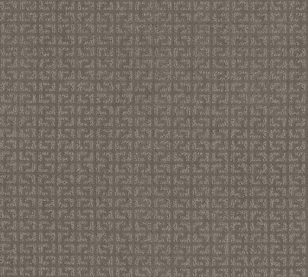 Shaw Floors Value VASTLY - 00505 ICED MOCHA
