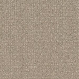 Shaw Floors Value TRANSFORM - 00109 SAND SWEPT