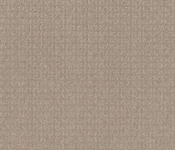 Shaw Floors Value TRANSFORM - 00109 SAND SWEPT