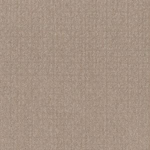 Shaw Floors Value TRANSFORM - 00110 FRESH BAKED
