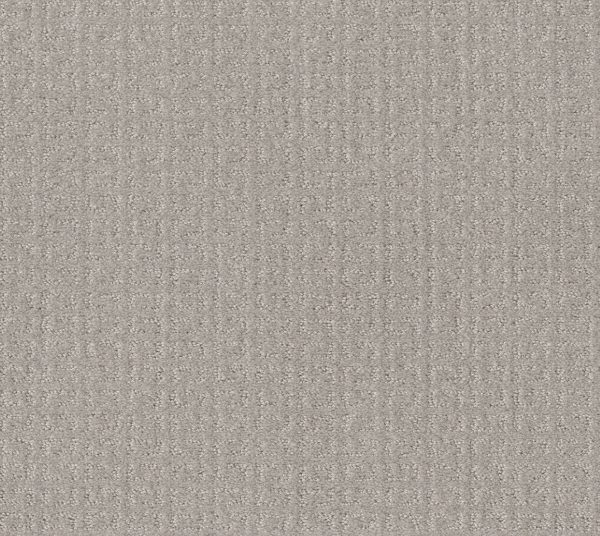 Shaw Floors Value TRANSFORM - 00502 FEATHER