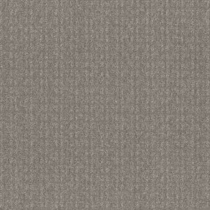 Shaw Floors Value TRANSFORM - 00504 STEEL BEAM