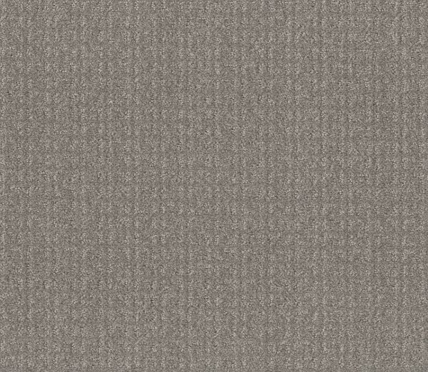Shaw Floors Value TRANSFORM - 00504 STEEL BEAM
