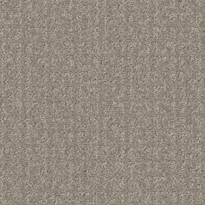 Shaw Floors Value TRANSFORM - 00505 FOSSIL