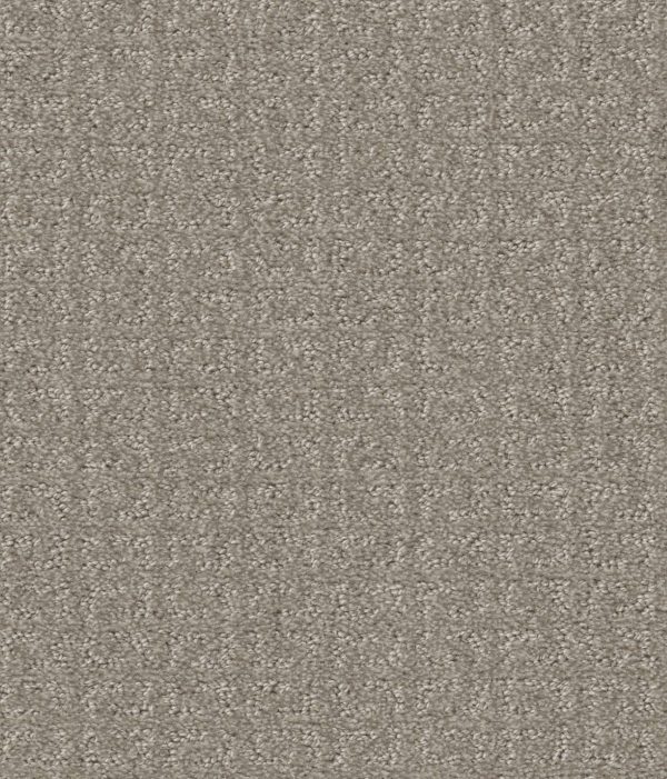 Shaw Floors Value TRANSFORM - 00505 FOSSIL