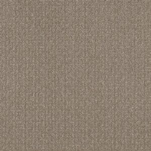 Shaw Floors Value TRANSFORM - 00704 SIMPLY TAN