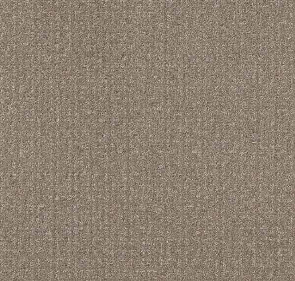 Shaw Floors Value TRANSFORM - 00704 SIMPLY TAN