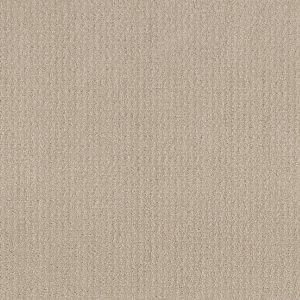 Shaw Floors Value TRANSLATE - 00107 BISCUIT