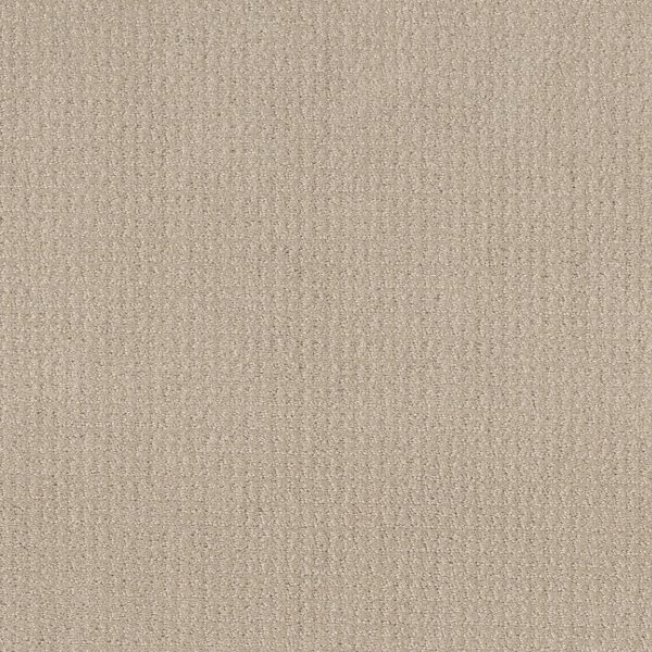 Shaw Floors Value TRANSLATE - 00107 BISCUIT