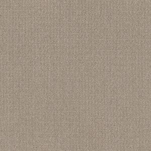 Shaw Floors Value TRANSLATE - 00109 SAND SWEPT