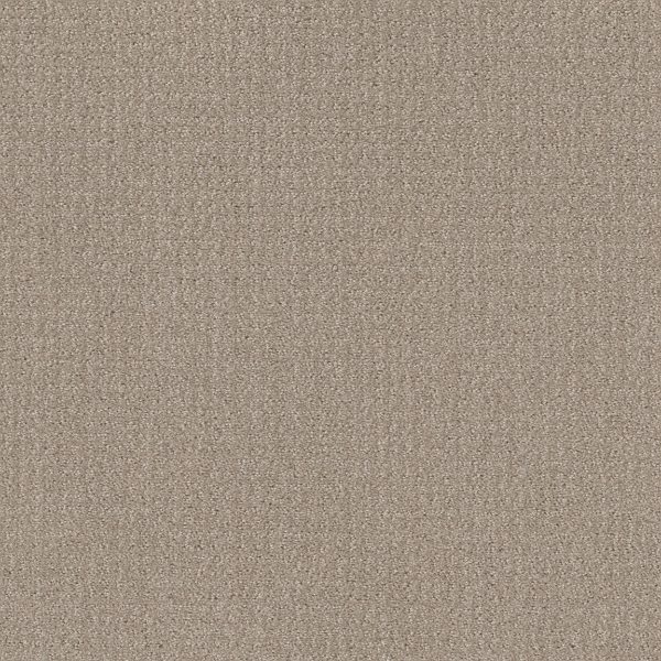 Shaw Floors Value TRANSLATE - 00109 SAND SWEPT