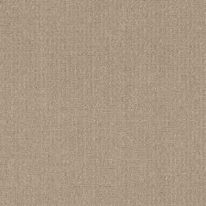Shaw Floors Value TRANSLATE - 00110 FRESH BAKED