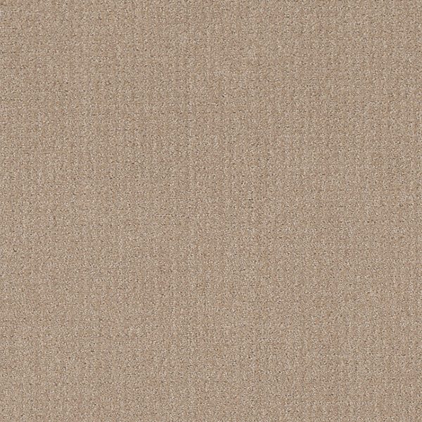 Shaw Floors Value TRANSLATE - 00110 FRESH BAKED
