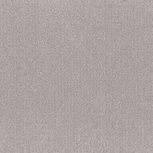 Shaw Floors Value TRANSLATE - 00502 FEATHER