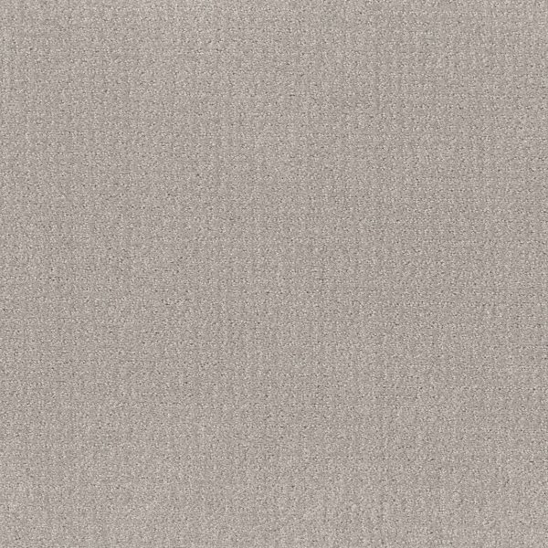 Shaw Floors Value TRANSLATE - 00502 FEATHER