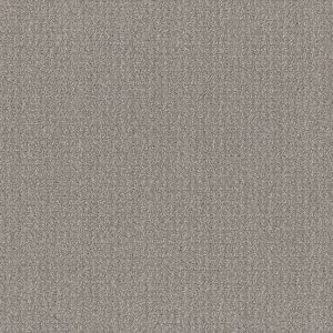 Shaw Floors Value TRANSLATE - 00504 STEEL BEAM