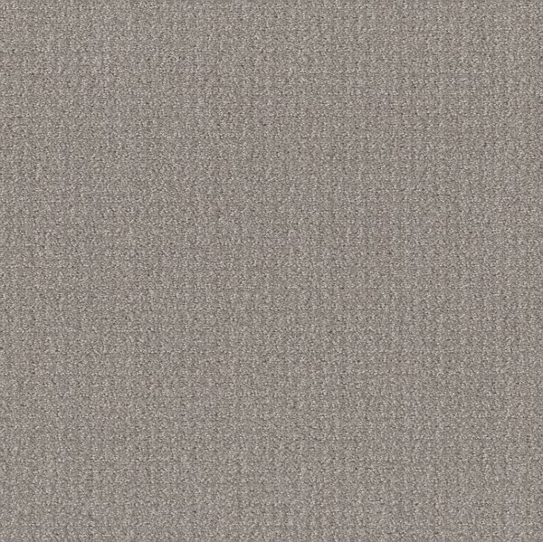 Shaw Floors Value TRANSLATE - 00504 STEEL BEAM