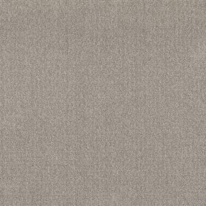 Shaw Floors Value TRANSLATE - 00505 FOSSIL