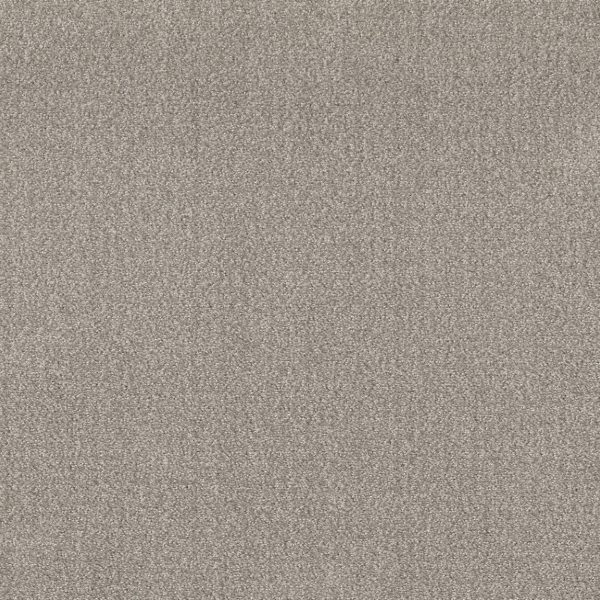 Shaw Floors Value TRANSLATE - 00505 FOSSIL