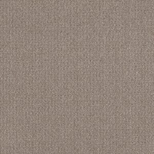 Shaw Floors Value TRANSLATE - 00704 SIMPLY TAN