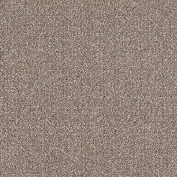 Shaw Floors Value TRANSLATE - 00704 SIMPLY TAN
