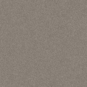 Shaw Floors Value GO AFTER IT 1 - 00123 WINTER DUNES