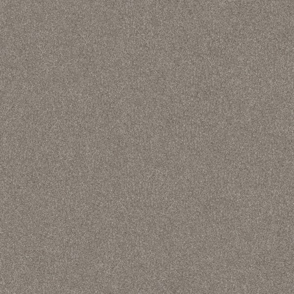 Shaw Floors Value GO AFTER IT 1 - 00123 WINTER DUNES
