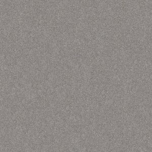 Shaw Floors Value GO AFTER IT 1 - 00122 ETCHED