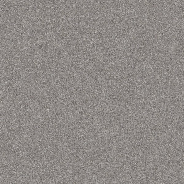 Shaw Floors Value GO AFTER IT 1 - 00122 ETCHED