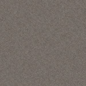 Shaw Floors Value GO AFTER IT 1 - 00721 DOCKSIDE